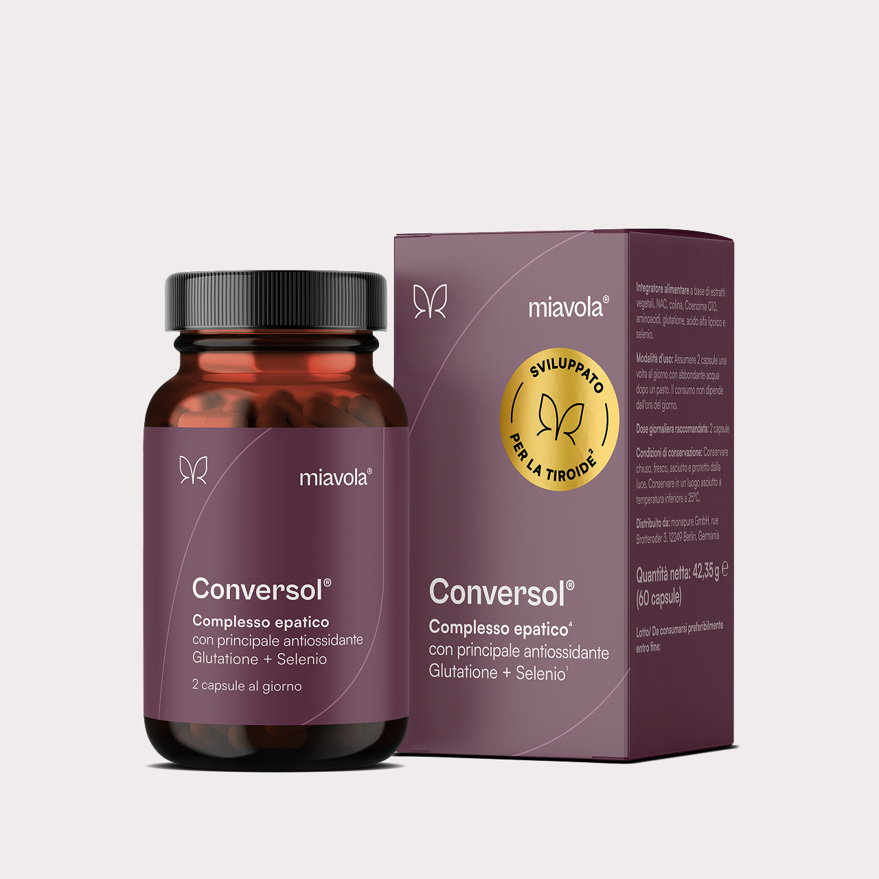 Conversol-IT-main_9743f057-541f-4423-a922-7519ee6b45ee.png