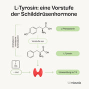 Essentielle Aminosäuren