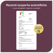Il Convertitore