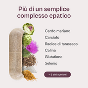 Conversol® - Complesso epatico