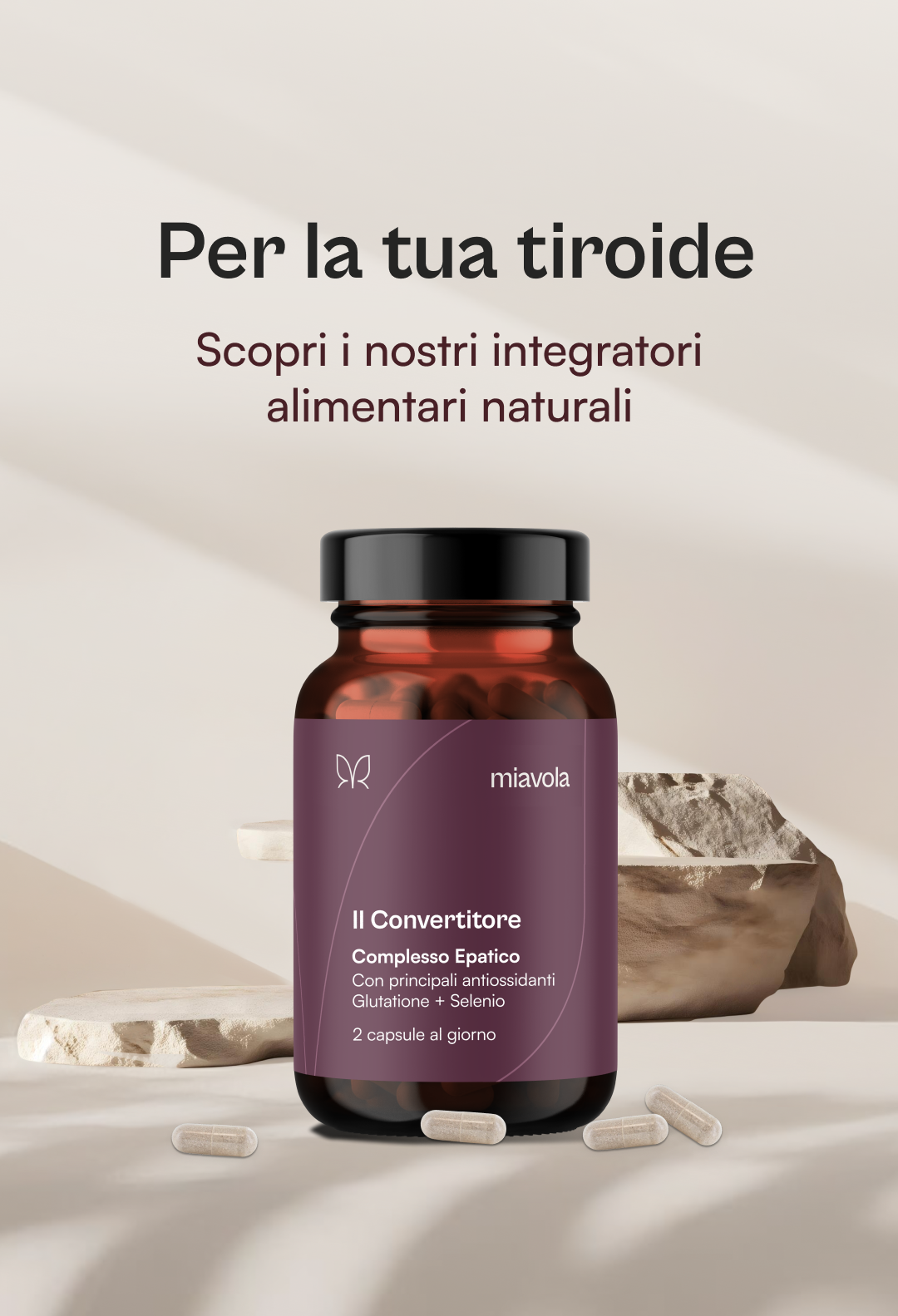 Miavola_IT_HeroImage_Mobil_1.1.png