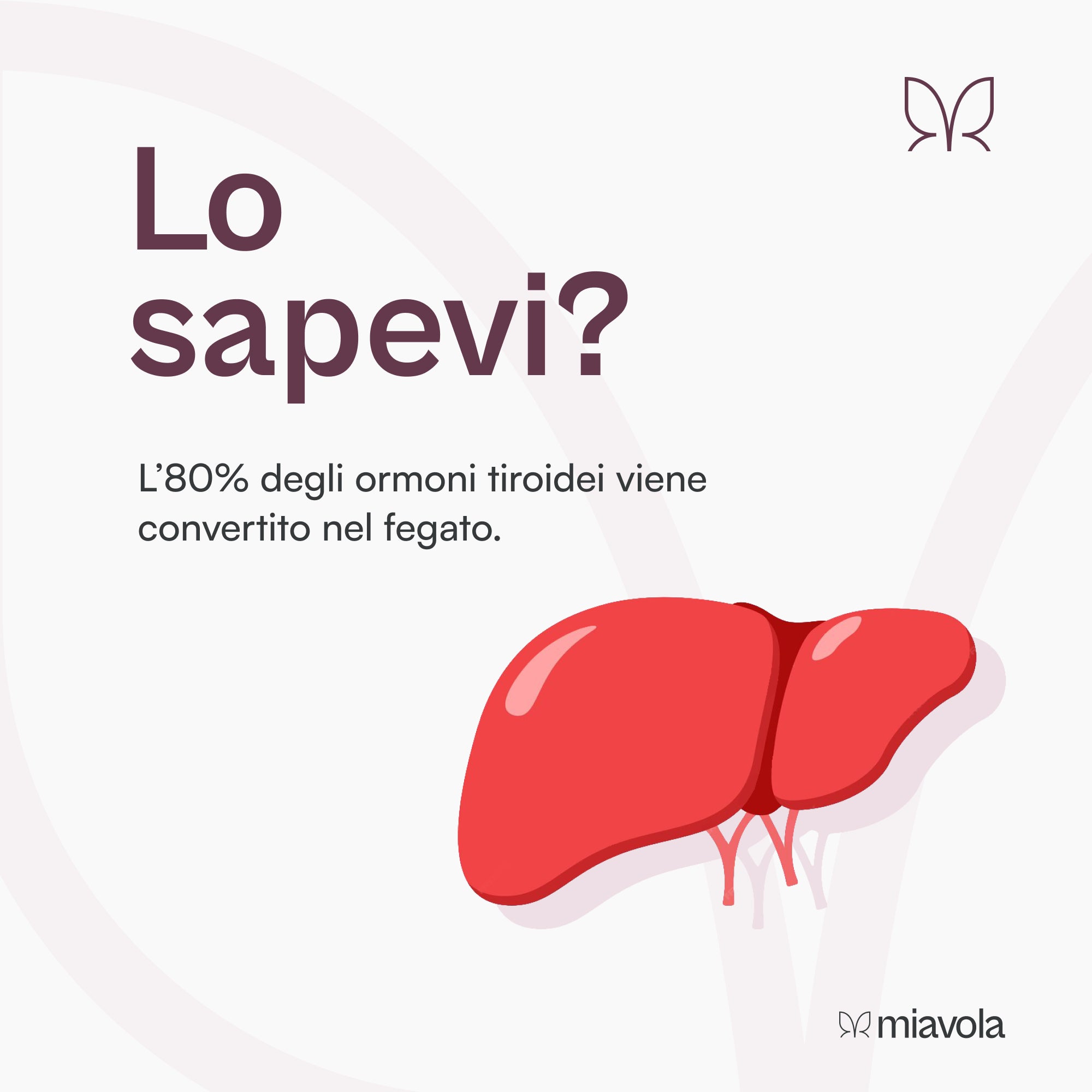 Il Convertitore