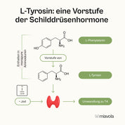 Das Protein-Bundle - 30 Tage Vorrat