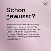 Der Umwandler®