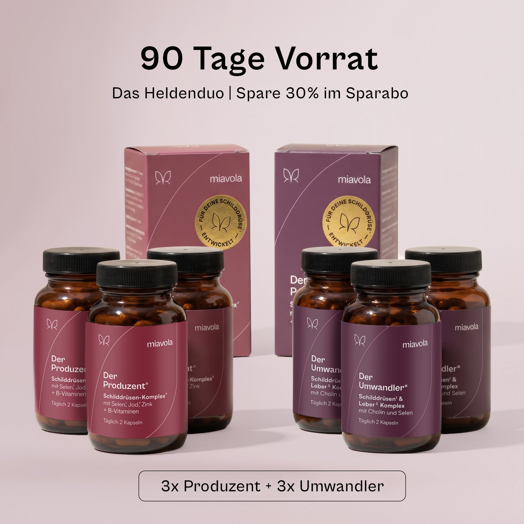 heldenduo-90tage.jpg